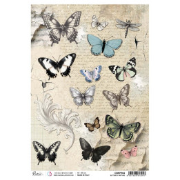 copy of 